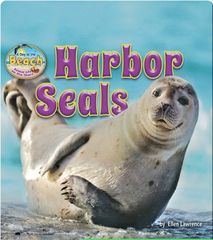 Animal Life on the Shore 4 Harbor Seals -- 绘本听读宝在线台词全文
