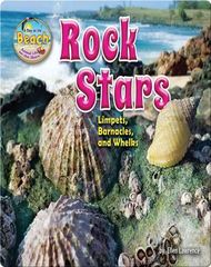 Animal Life on the Shore Rock Stars: Limpets, Barnacles, and Whelks -- 绘本听读宝在线台词全文