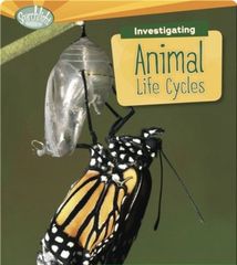 What Are Earth's Cycles? 48 Investigating Animal Life Cycles -- 绘本听读宝在线台词全文