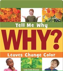 Tell Me Why Library 31 Leaves Change Color -- 绘本听读宝在线台词全文