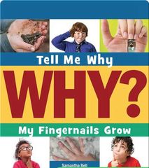 Tell Me Why Library 32 My Fingernails Grow -- 绘本听读宝在线台词全文