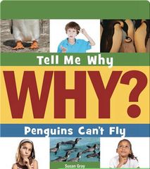 Tell Me Why Library 33 Penguins Can't Fly -- 绘本听读宝在线台词全文