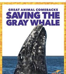 Great Animal Comebacks 36 Saving the Gray Whale -- 绘本听读宝在线台词全文
