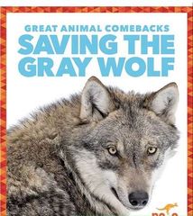 Great Animal Comebacks 48 Saving the Gray Wolf -- 绘本听读宝在线台词全文