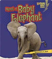 Baby African Animals 20 Meet a Baby Elephant -- 绘本听读宝在线台词全文