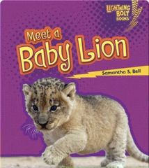 Baby African Animals 21 Meet a Baby Lion -- 绘本听读宝在线台词全文