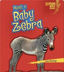 Baby African Animals 39 Meet a Baby Zebra -- 绘本听读宝在线台词全文