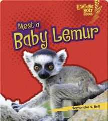 Baby African Animals 49 Meet a Baby Lemur -- 绘本听读宝在线台词全文