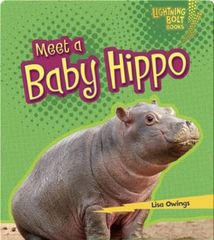 Baby African Animals 54 Meet a Baby Hippo -- 绘本听读宝在线台词全文