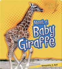 Baby African Animals 61 Meet a Baby Giraffe -- 绘本听读宝在线台词全文