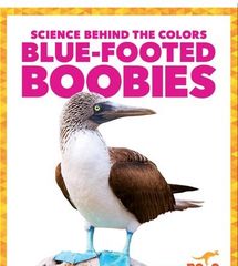 Science Behind the Colors 5 Science Behind the Colors: Blue-Footed Boobies -- 绘本听读宝在线台词全文