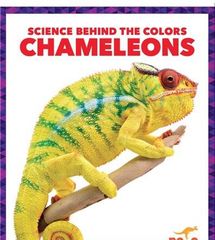 Science Behind the Colors 6 Science Behind the Colors: Chameleons -- 绘本听读宝在线台词全文