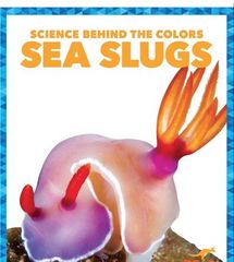 Science Behind the Colors 10 Science Behind the Colors: Sea Slugs -- 绘本听读宝在线台词全文