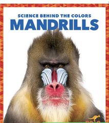 Science Behind the Colors 77 Science Behind the Colors: Mandrills -- 绘本听读宝在线台词全文
