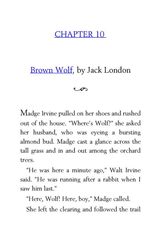 37 Animal Stories Diane Namm 10 Brown Wolf -- 绘本听读宝在线台词全文