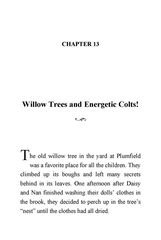 45 Little Men Louisa May Alcott 13 Willow Trees and Energetic Colts! -- 绘本听读宝在线台词全文