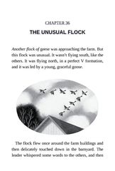 2 The Wild Robot Escapes 36 THE UNUSUAL FLOCK -- 绘本听读宝在线台词全文