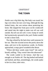 2 The Wild Robot Escapes 67 THE TOWN -- 绘本听读宝在线台词全文