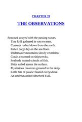3 The Wild Robot Protects 28 THE OBSERVATIONS -- 绘本听读宝在线台词全文