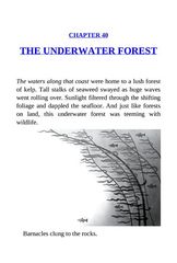 3 The Wild Robot Protects 40 THE UNDERWATER FOREST -- 绘本听读宝在线台词全文