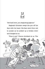 2 Dave Pigeon Nuggets Chapter 12 -- 绘本听读宝在线台词全文