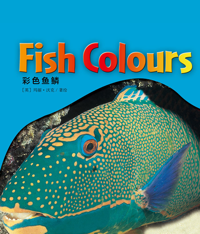 培生启明星L1 Fish Colours -- 绘本听读宝在线台词全文