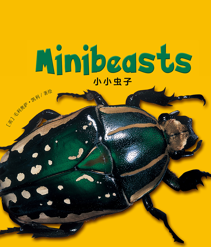 培生启明星L1 Minibeasts -- 绘本听读宝在线台词全文