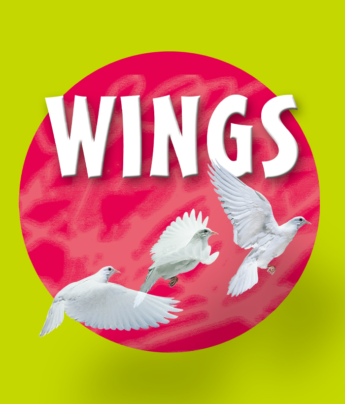 培生启明星L1 Wings -- 绘本听读宝在线台词全文