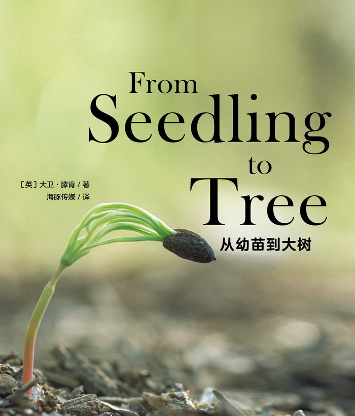 培生启明星L3 From Seedling to Tree -- 绘本听读宝在线台词全文
