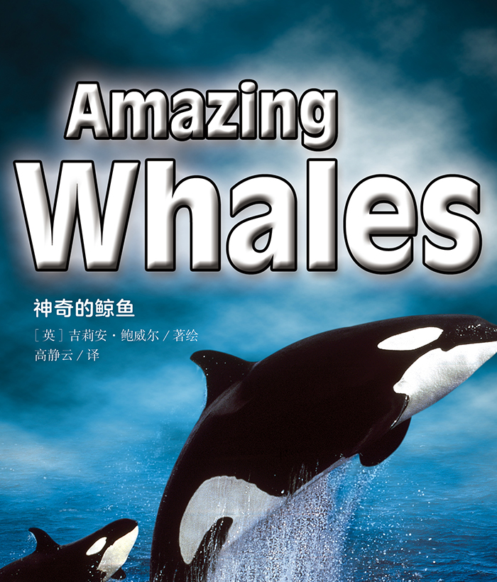 培生启明星L8 Amazing Whales -- 绘本听读宝在线台词全文