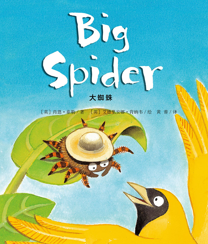 培生基础级② Big Spider -- 绘本听读宝在线台词全文