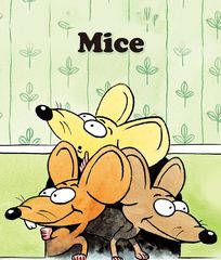 基础词汇·下 Mice -- 绘本听读宝在线台词全文