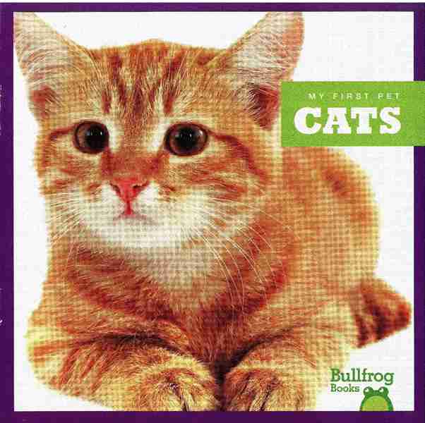 牛蛙 A 1 Cats -- 绘本听读宝在线台词全文