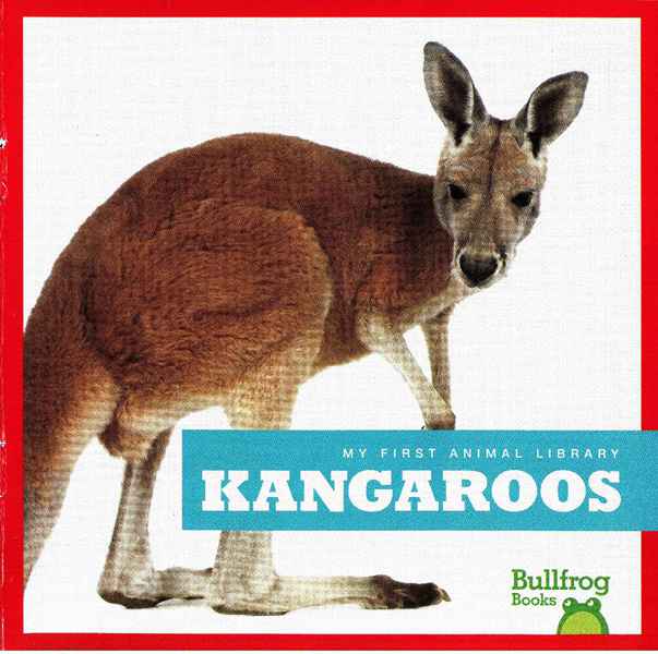 牛蛙 A 11 Kangaroos -- 绘本听读宝在线台词全文