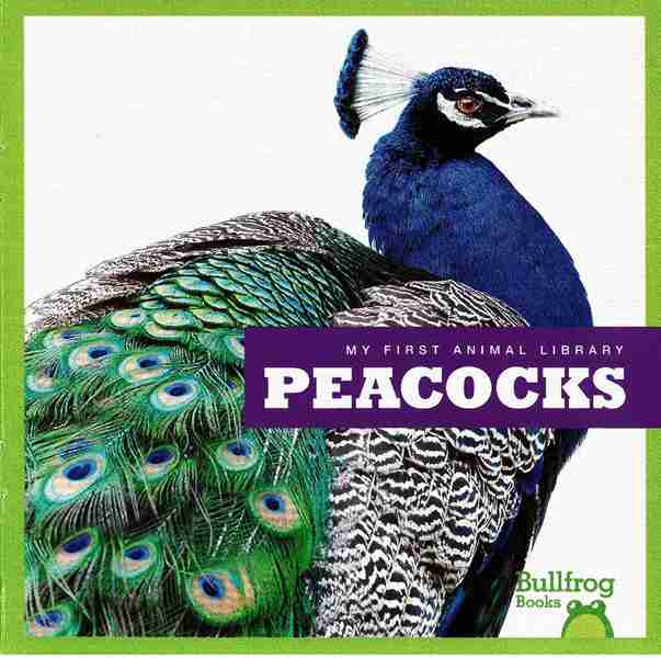 牛蛙 A 12 Peacocks -- 绘本听读宝在线台词全文