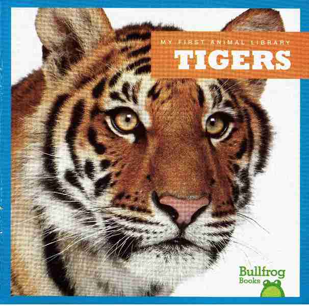 牛蛙 A 13 Tigers -- 绘本听读宝在线台词全文