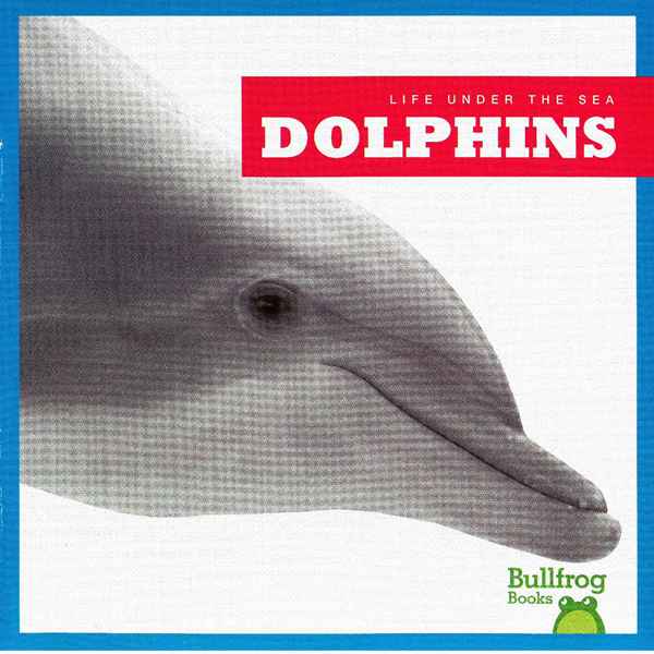 牛蛙 A 15 Dolphins -- 绘本听读宝在线台词全文