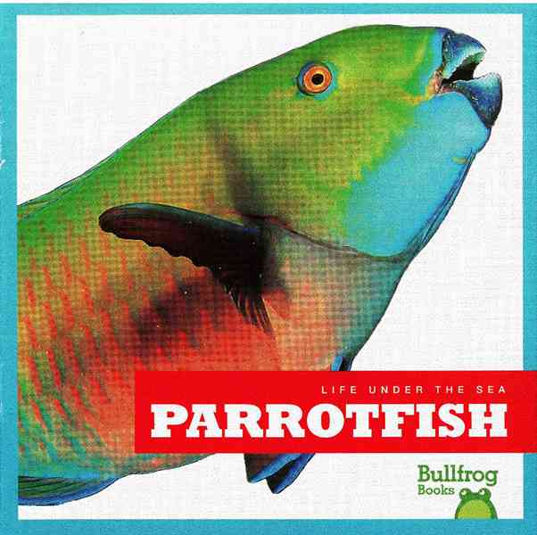牛蛙 A 17 Parrotfish -- 绘本听读宝在线台词全文