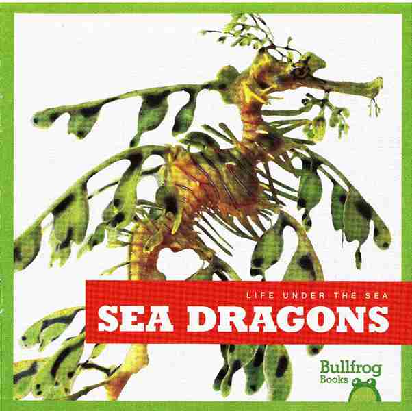 牛蛙 A 18 Sea Dragons -- 绘本听读宝在线台词全文
