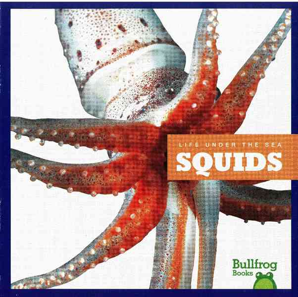 牛蛙 A 19 Squids -- 绘本听读宝在线台词全文