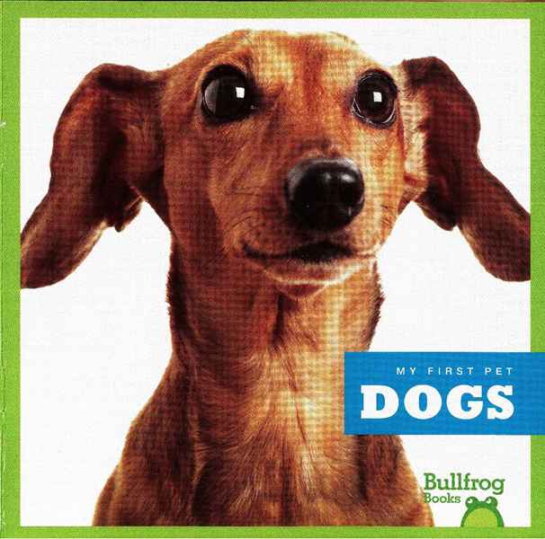 牛蛙 A 2 Dogs -- 绘本听读宝在线台词全文