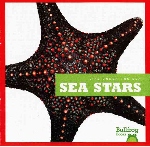 牛蛙 A 21 Sea Stars -- 绘本听读宝在线台词全文