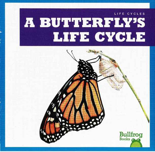 牛蛙 A 23 A Butterfly's Life Cycle -- 绘本听读宝在线台词全文