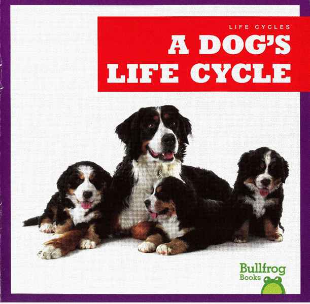 牛蛙 A 25 A Dog's Life Cycle -- 绘本听读宝在线台词全文