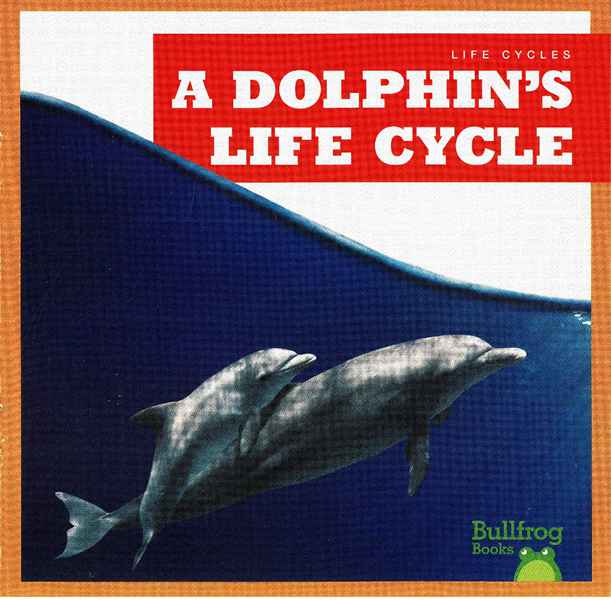 牛蛙 A 26 A Dolphin's Life Cycle -- 绘本听读宝在线台词全文