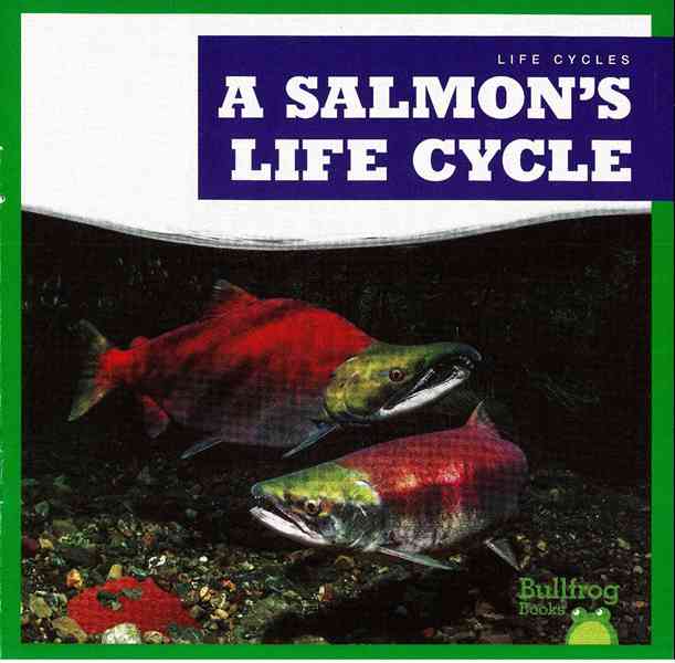 牛蛙 A 28 A Salmon's Life Cycle -- 绘本听读宝在线台词全文