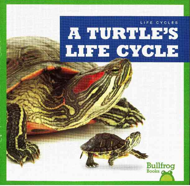 牛蛙 A 29 A Turtle's Life Cycle -- 绘本听读宝在线台词全文