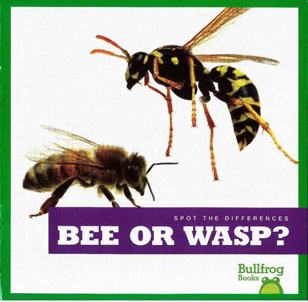 牛蛙 A 30 Bee or Wasp -- 绘本听读宝在线台词全文