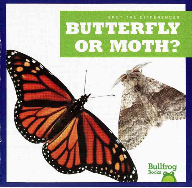 牛蛙 A 31 Butterfly or Moth -- 绘本听读宝在线台词全文