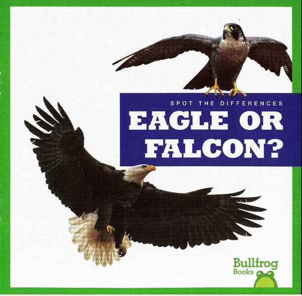 牛蛙 A 32 Eagle or Falcon -- 绘本听读宝在线台词全文